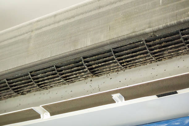 Best Air Duct Cleaning Near Me  in Bainbridge, PA